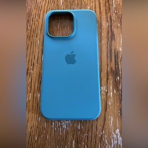 iPhone 13 Pro Apple silicon MagSafe case in eucalyptus